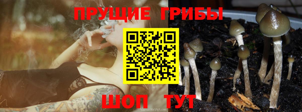 Псилоцибиновые грибы ЛСД  Галлюциногенные грибы GOLDEN TEACHER  где купить наркоту  Вход с VPN  Мытищи 