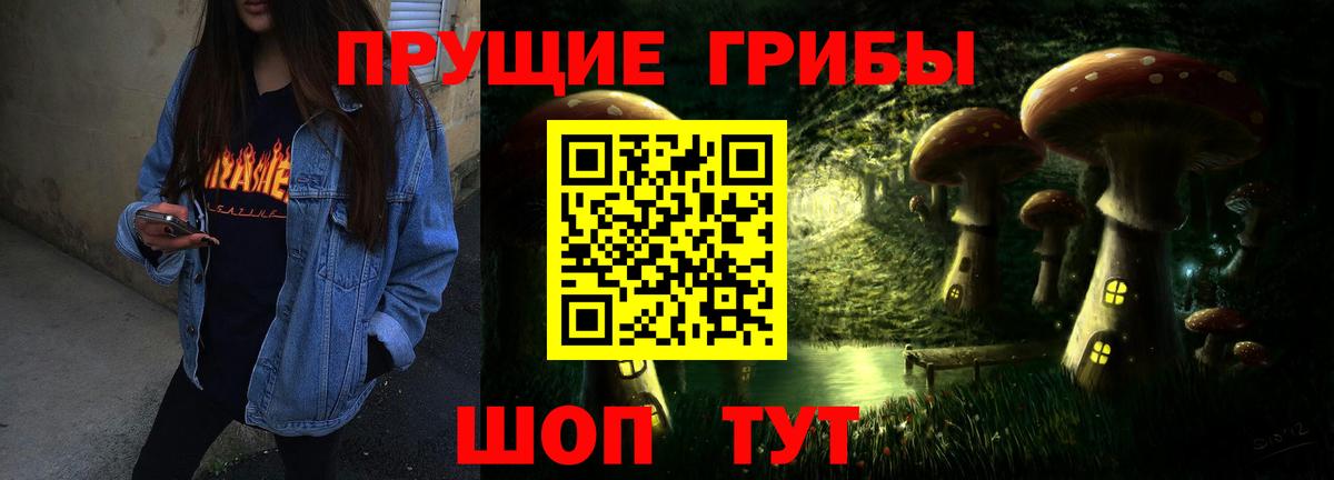 Псилоцибиновые грибы Psilocybe Мытищи